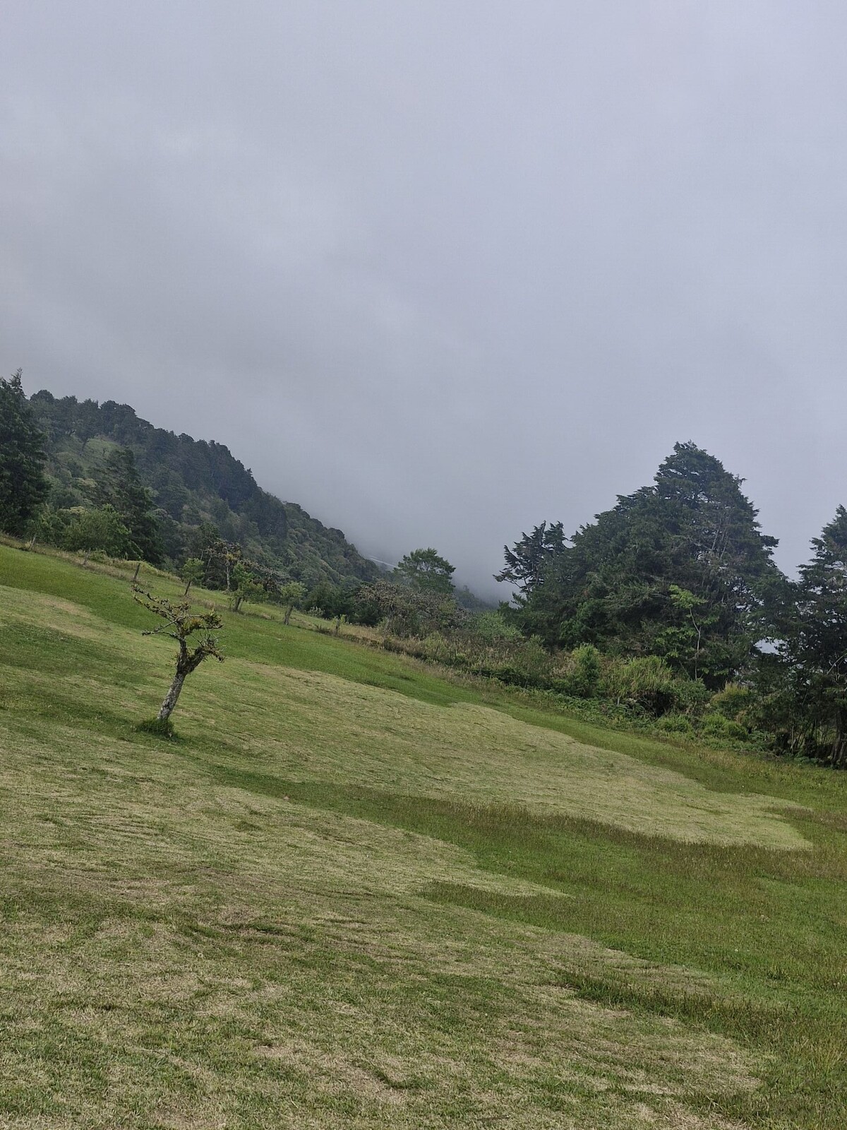Panorámica de la propiedad